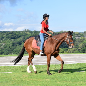 Horse Riding (30 mins)