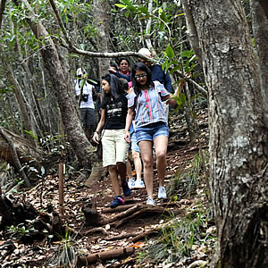 Visit of Endemic Forest